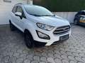 Ford EcoSport AUTOMATIK *TÜV & Service NEU*PDC*SHZ* Weiß - thumbnail 7