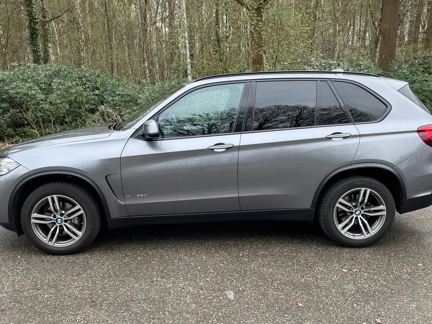 BMW X5 X5 xDrive25d Gris - 2