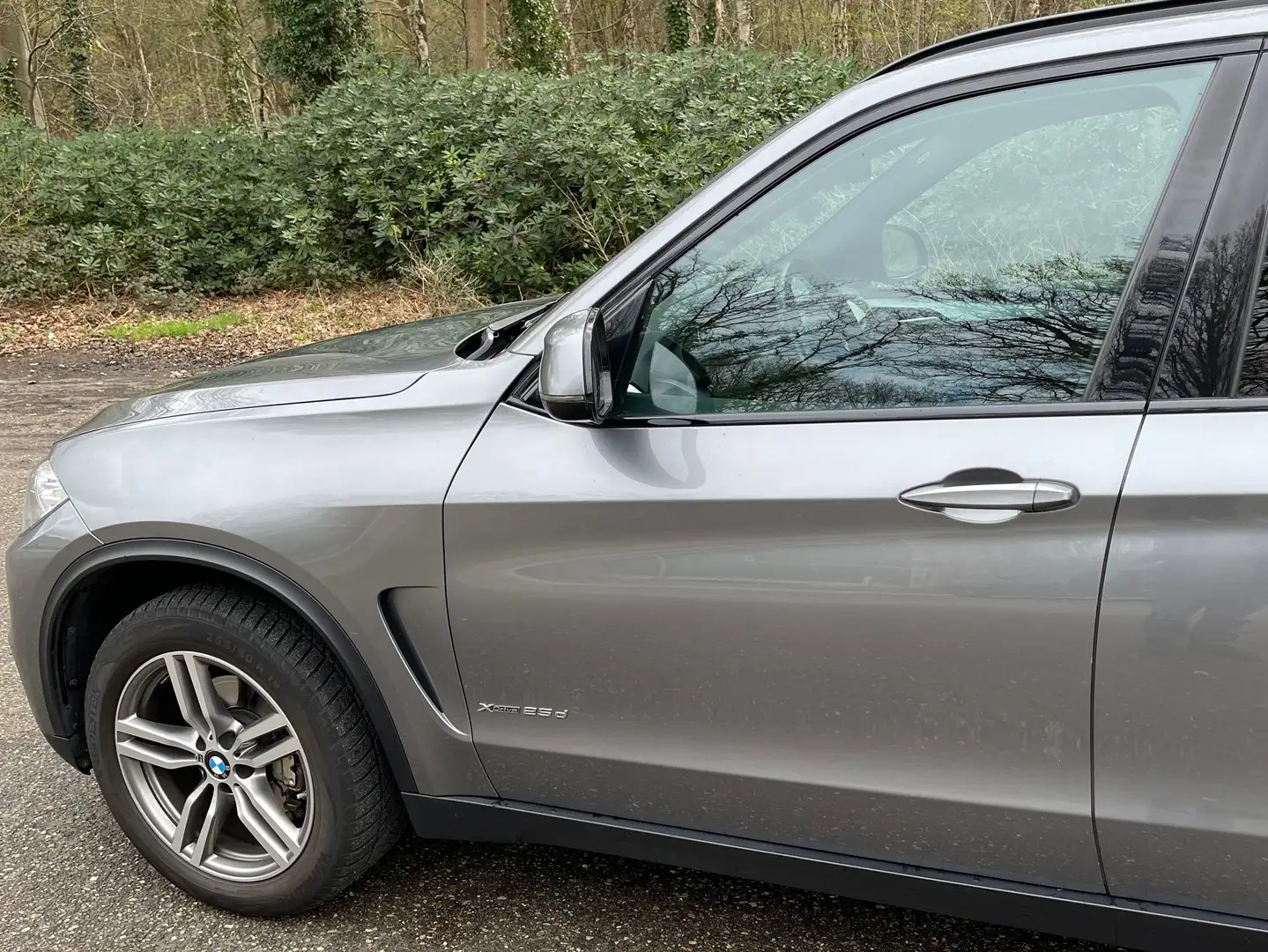 BMW X5 X5 xDrive25d Gris - 1