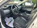 Jeep Compass Autom. Compass 1.3 t4 Business 2wd 150cv ddct Blanc - thumbnail 5