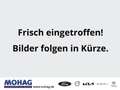 Ford Kuga PHEV ST-Line X *PANORAMAD.*KAMERA*NAVI*HUD* Gris - thumbnail 1