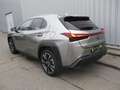 Lexus UX 250h Style Edition 1.4kWh Aut. Silber - thumbnail 5