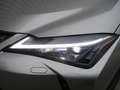 Lexus UX 250h Style Edition 1.4kWh Aut. Silber - thumbnail 24