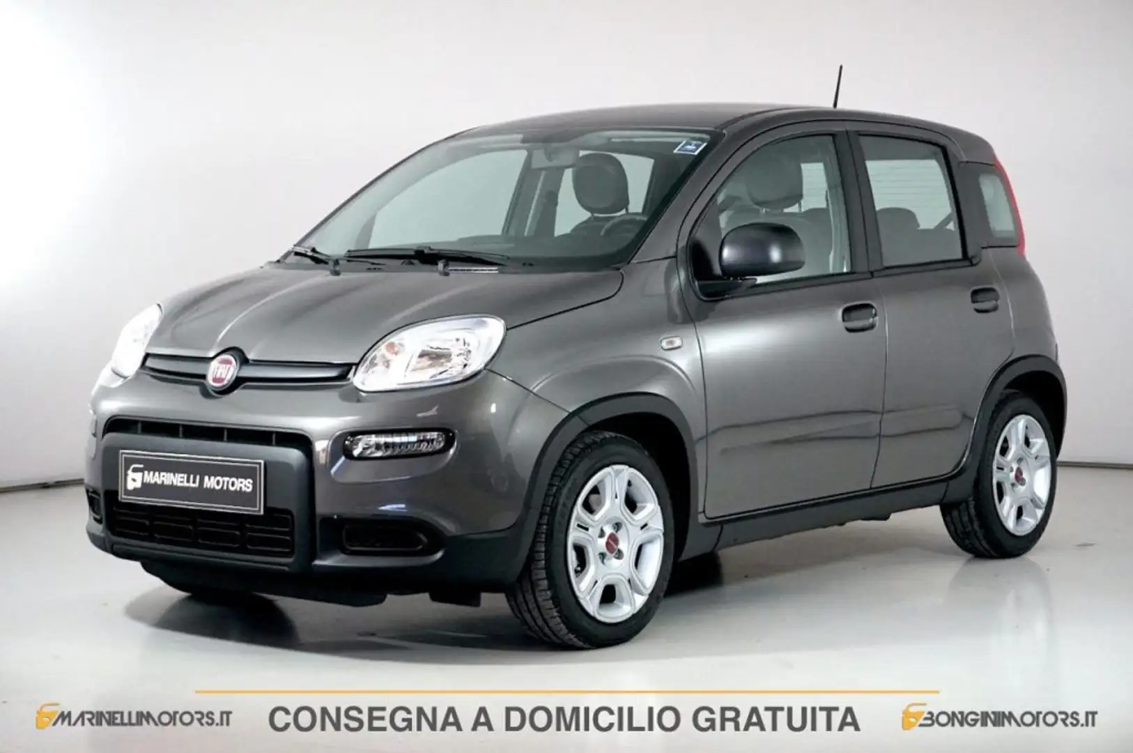 Fiat Panda 1.0 FIREFLY S&amp;S HYBRID Grigio - 1