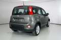 Fiat Panda 1.0 FIREFLY S&amp;S HYBRID Grigio - thumbnail 3