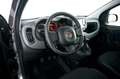 Fiat Panda 1.0 FIREFLY S&amp;S HYBRID Grigio - thumbnail 6