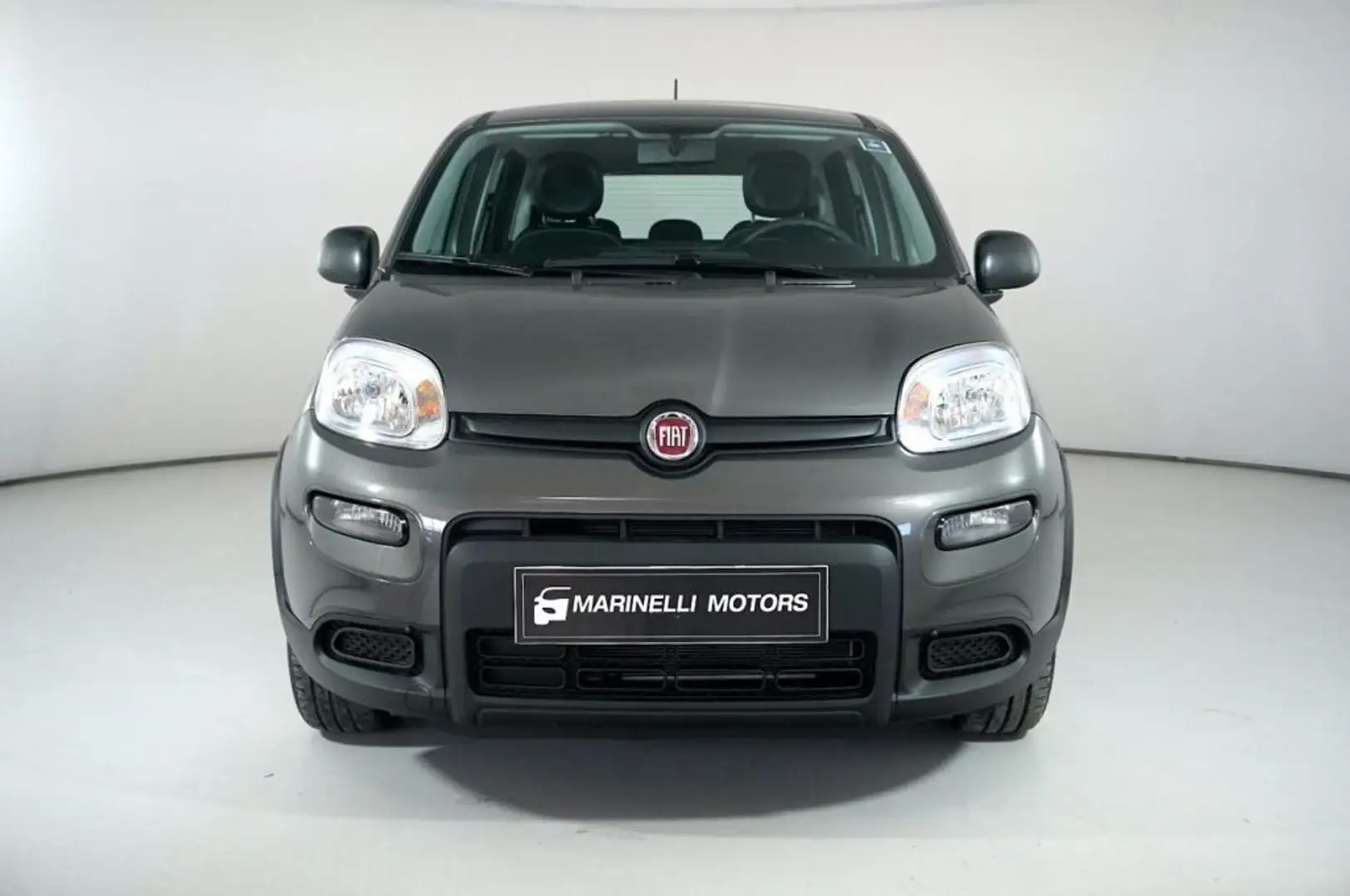 Fiat Panda 1.0 FIREFLY S&amp;S HYBRID Grigio - 2