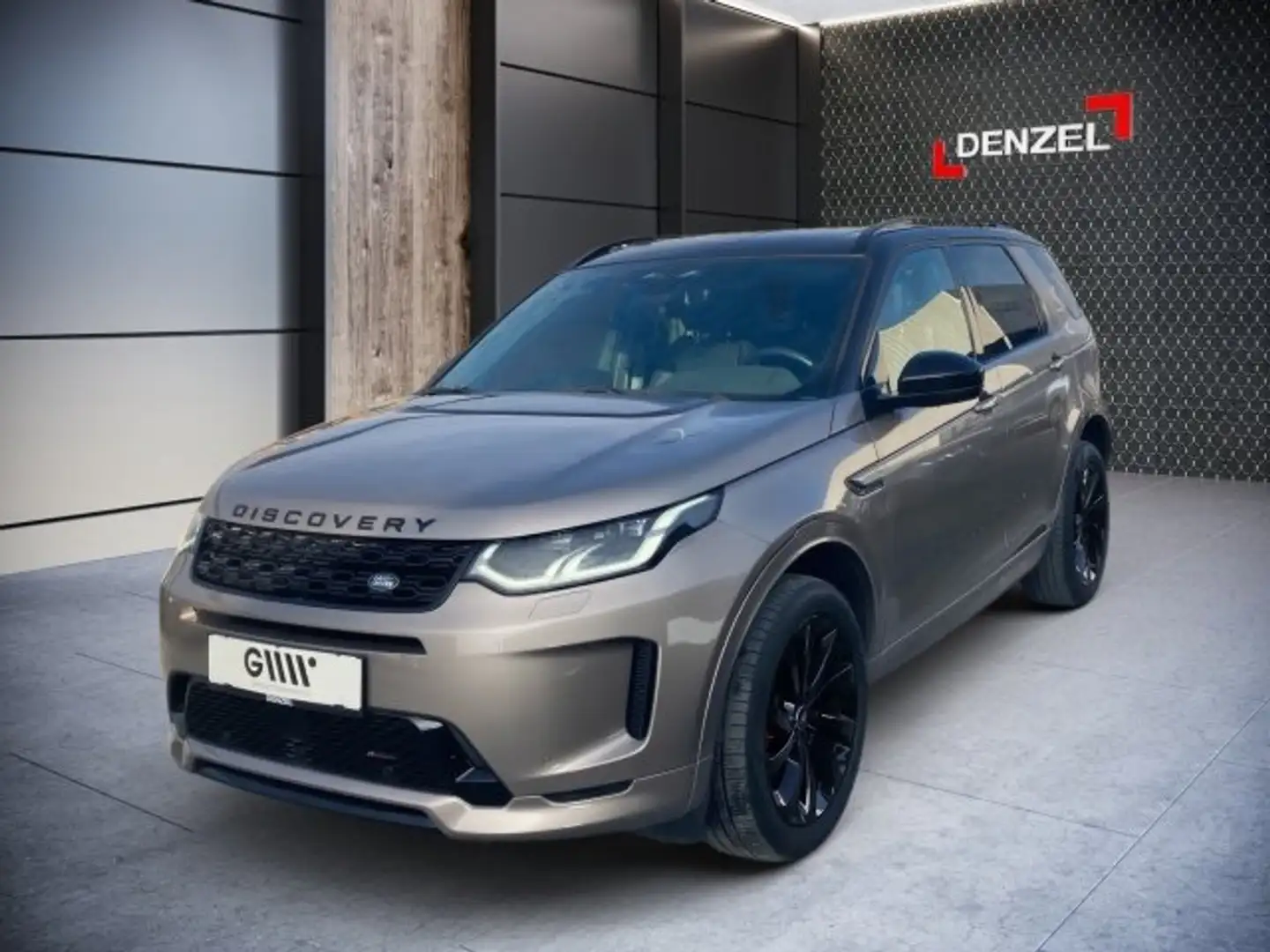 Land Rover Discovery Sport D165 AUT. AWD Braun - 2