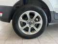 Ford EcoSport EcoSport 2018 1.5 ecoblue Titanium s Wit - thumbnail 4