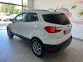 Ford EcoSport EcoSport 2018 1.5 ecoblue Titanium s Wit - thumbnail 2