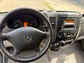 Mercedes-Benz Sprinter 311cdi euro6 l2h2 very clean top staat drive new Blanc - thumbnail 13