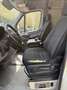 Mercedes-Benz Sprinter 311cdi euro6 l2h2 very clean top staat drive new Blanc - thumbnail 14