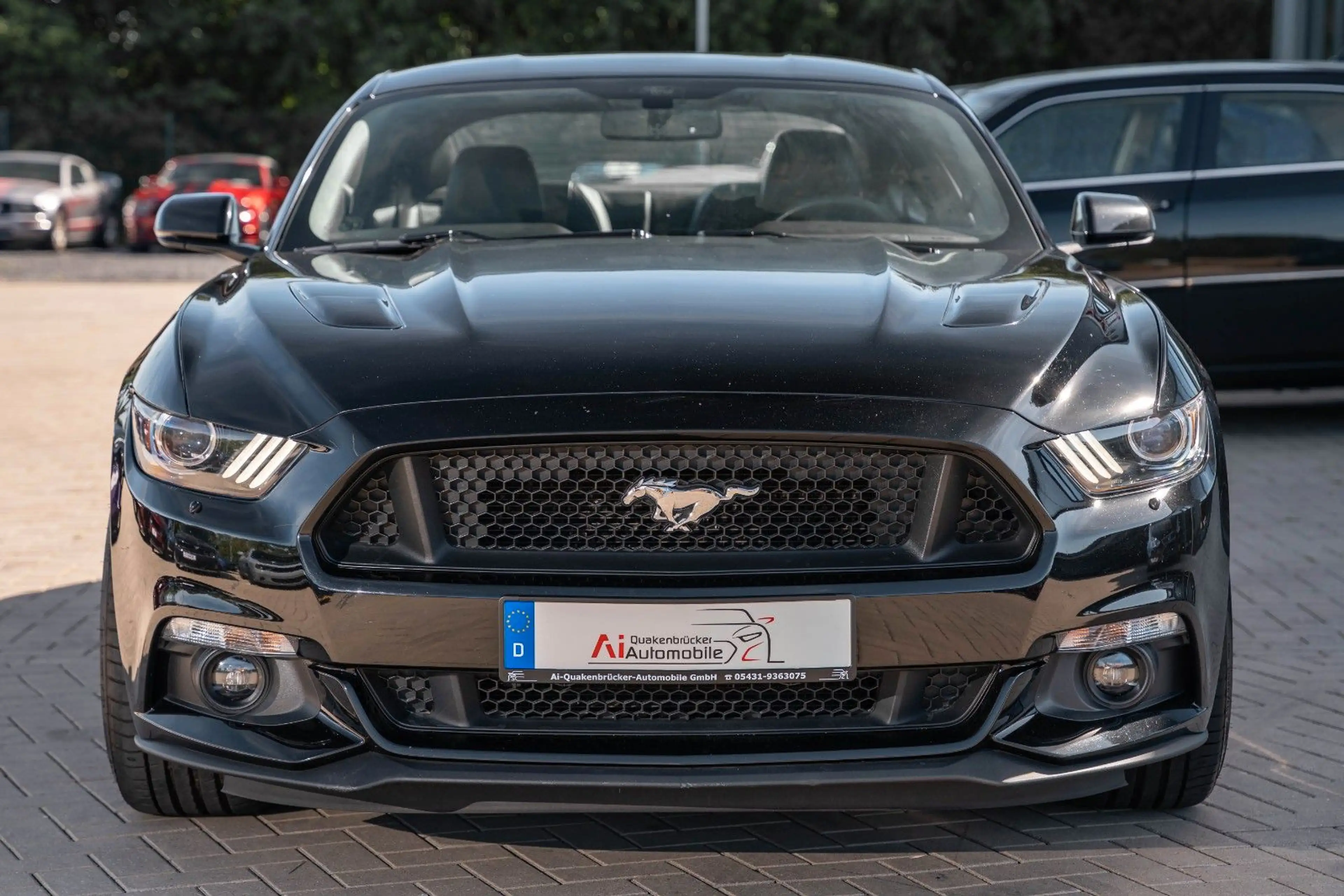Ford Mustang GT 5,0 PREMIUM LEDER NAVI 20° COC — photo 13