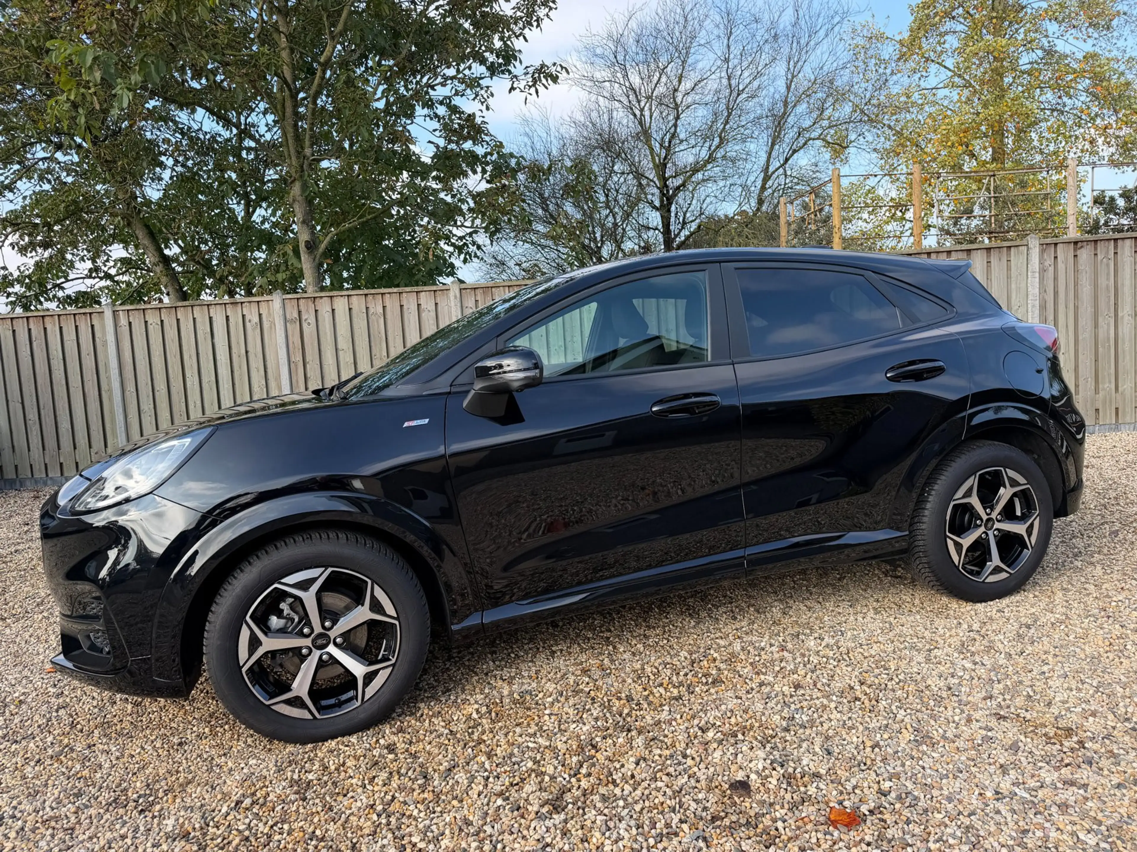 Ford Puma 1.0 EcoBoost Hybrid ST-Line X 155PK Automaat Navig — photo 3