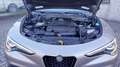 Alfa Romeo Stelvio 2.2 t Executive Q4 210 cv auto my 2019 - GARANZIA Blau - thumbnail 15