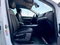 Audi Q5 2.0 TDI  quattro*BiXenon*Navi*PDC*SHZ* White - thumbnail 13