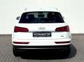 Audi Q5 2.0 TDI  quattro*BiXenon*Navi*PDC*SHZ* White - thumbnail 6