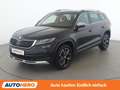 Skoda Kodiaq 1.5 TSI ACT Scout 4x4 Schwarz - thumbnail 1