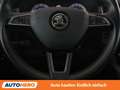 Skoda Kodiaq 1.5 TSI ACT Scout 4x4 Schwarz - thumbnail 19