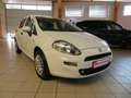 Fiat Punto 1,2 MYSTYLE*KLIMA*NSW*ZV mit FB* Blanc - thumbnail 7