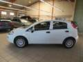 Fiat Punto 1,2 MYSTYLE*KLIMA*NSW*ZV mit FB* Wit - thumbnail 2