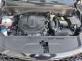 Kia Sorento 2.2D SPIRIT PREMIUM StandHZG El. Panodach LenkradH Noir - thumbnail 14