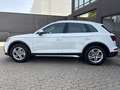 Audi Q5 35 TDI Advanced S tronic Blanco - thumbnail 8