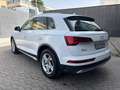 Audi Q5 35 TDI Advanced S tronic Blanco - thumbnail 5