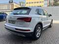 Audi Q5 35 TDI Advanced S tronic Blanco - thumbnail 7