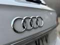 Audi Q5 35 TDI Advanced S tronic Blanco - thumbnail 35