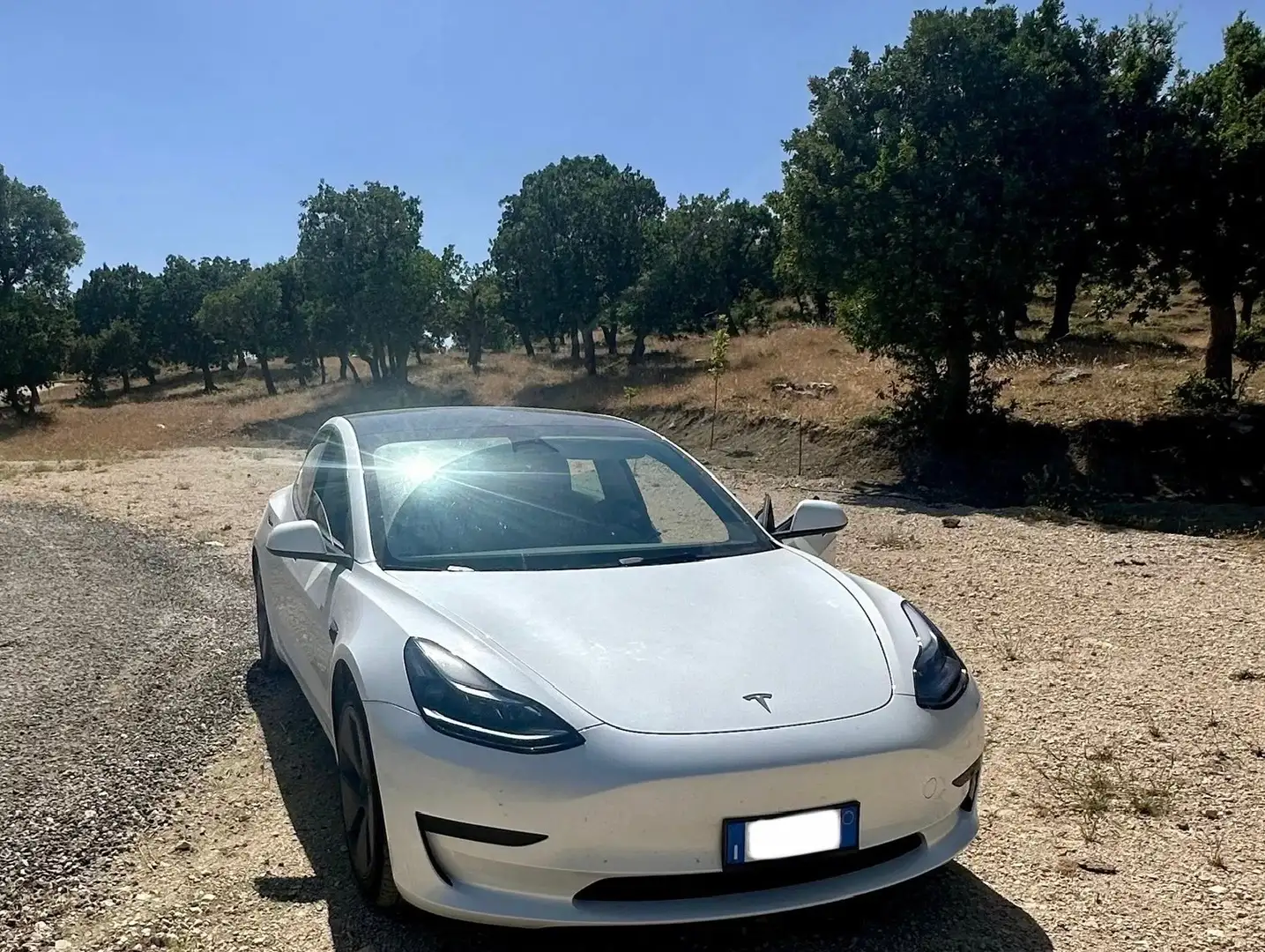 Tesla Model 3 Model 3 Standard rwd Plus Bianco - 2