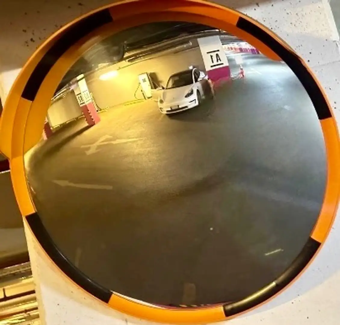 Tesla Model 3 Model 3 Standard rwd Plus Bianco - 1
