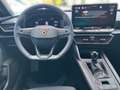 CUPRA Leon 1.5 TSI 150 PS ACT Blau - thumbnail 12