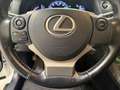Lexus CT 200h CT Hybrid Executive Bianco - thumbnail 11