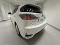 Lexus CT 200h CT Hybrid Executive Bianco - thumbnail 13