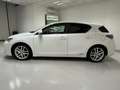 Lexus CT 200h CT Hybrid Executive Bianco - thumbnail 8