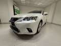 Lexus CT 200h CT Hybrid Executive Bianco - thumbnail 7
