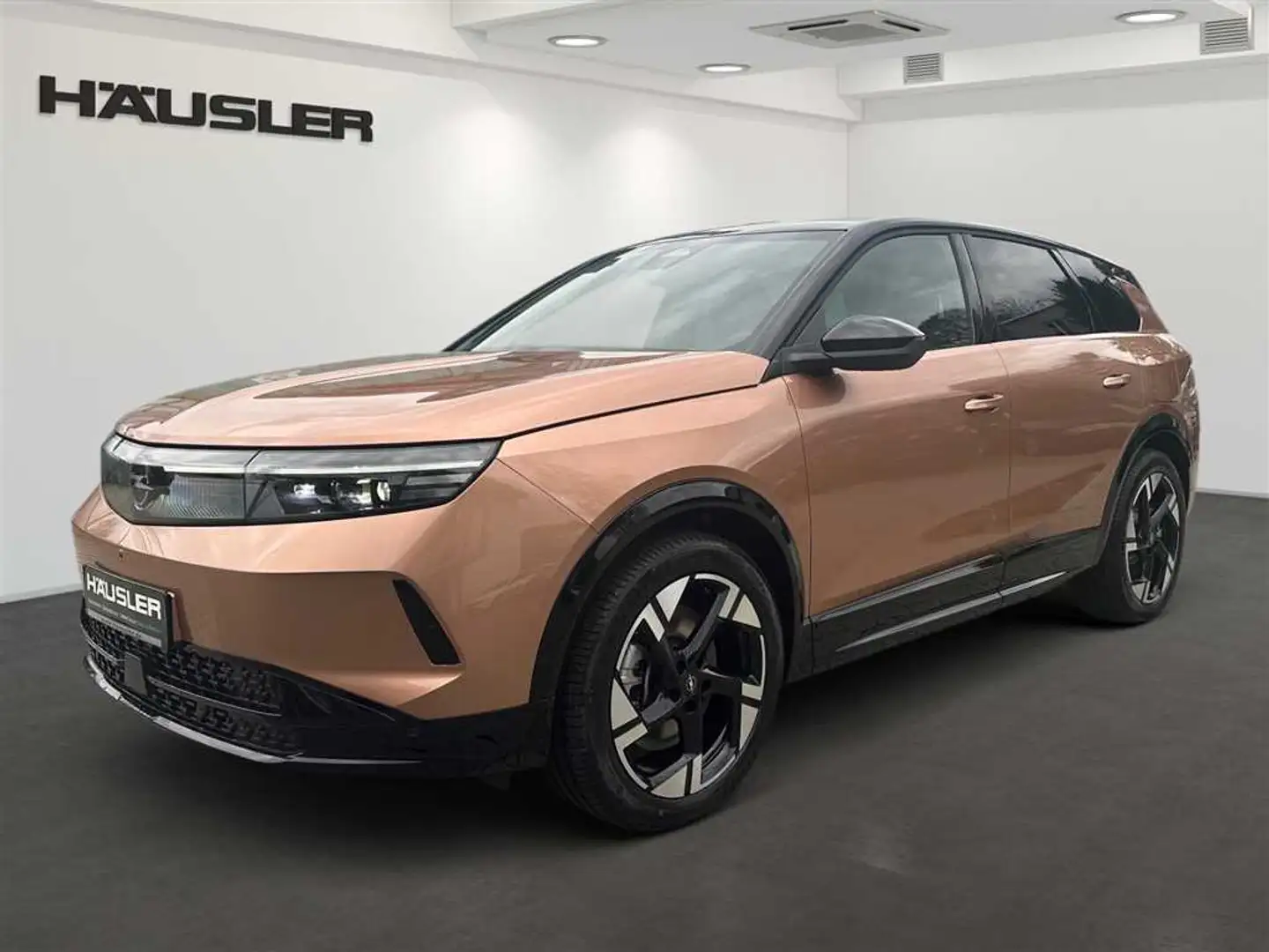 Opel Grandland X 2025 Electric*GS*Kamera*PDC*LED*Carplay*DAB*uvm. Bronze - 1