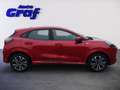 Ford Puma 1,0 EcoBoost Hybrid ST-Line Aut. Rosso - thumbnail 3