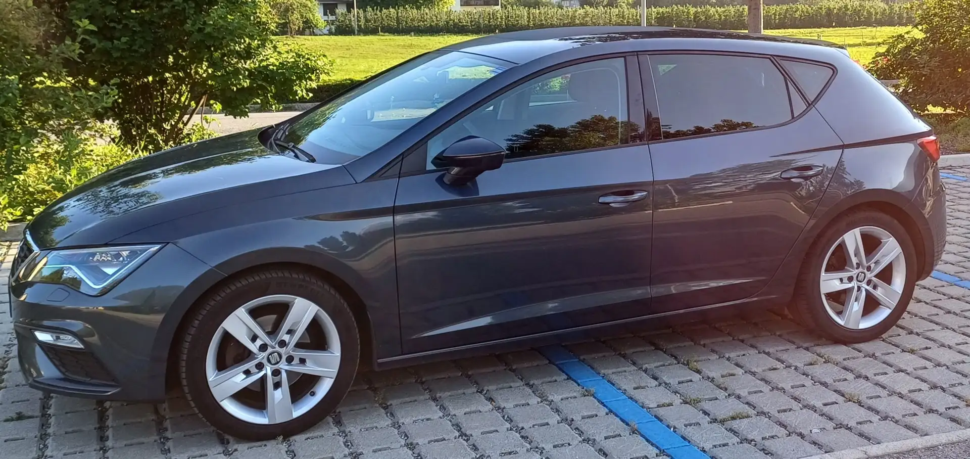 SEAT Leon Leon 2.0 TDI DPF DSG FR Grau - 2