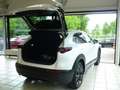 Mazda CX-30 Homura SKYACTIV X 186 PS *Kamera*LED*Navi* Wit - thumbnail 8