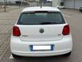 Volkswagen Polo 5p 1.2 tdi Comfortline Bianco - thumbnail 2