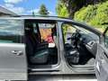 SEAT Alhambra 20th Anniversary 4Drive 7-Sitzer Navi Grau - thumbnail 6