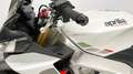 Aprilia TUONO V4 1100 2023 - KM. 16000 + VALIGIE Bianco - thumbnail 9
