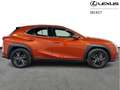 Lexus UX 250h Business Line + Leather Orange - thumbnail 16