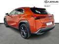 Lexus UX 250h Business Line + Leather Orange - thumbnail 3