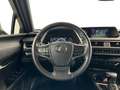 Lexus UX 250h Business Line + Leather Portocaliu - thumbnail 10