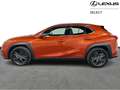 Lexus UX 250h Business Line + Leather Oranje - thumbnail 5