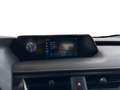 Lexus UX 250h Business Line + Leather Portocaliu - thumbnail 13