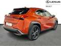 Lexus UX 250h Business Line + Leather Orange - thumbnail 17